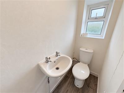 Picture 24
